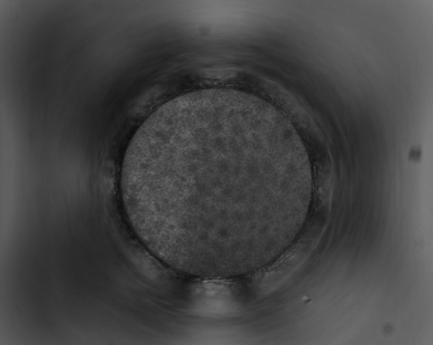 X0000102860758200809081306