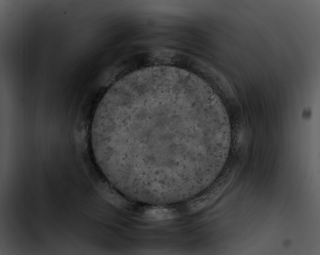 X0000102860759200809081306