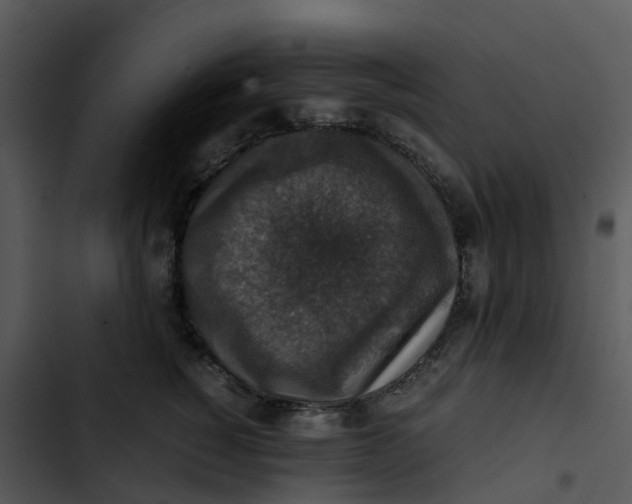 X0000102860760200809081306