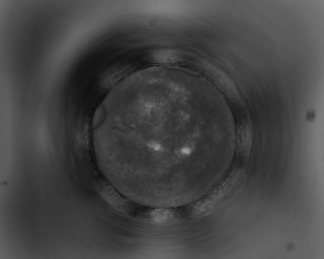 X0000102860762200809081306