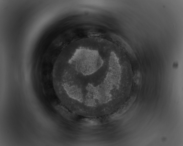 X0000102860763200809081306