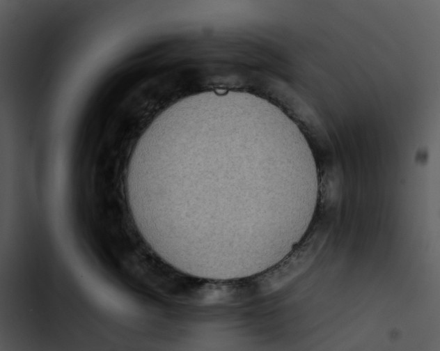 X0000102860764200809081306