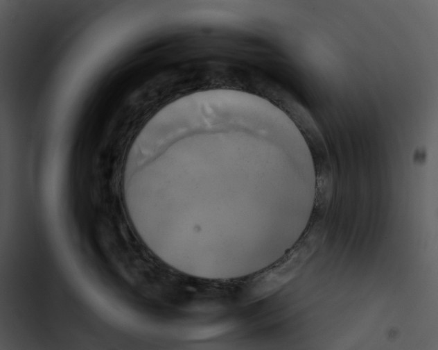 X0000102860765200809081306