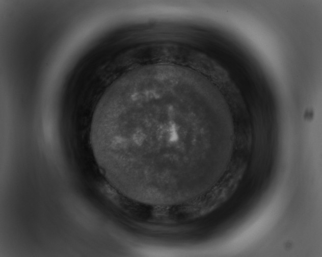 X0000102860766200809081306