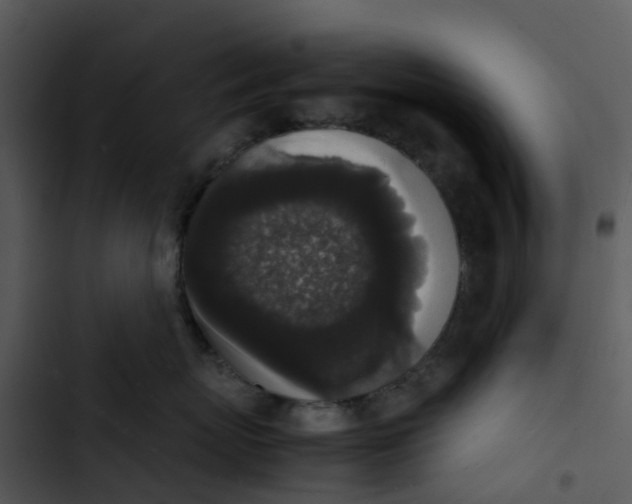 X0000102860767200809081306