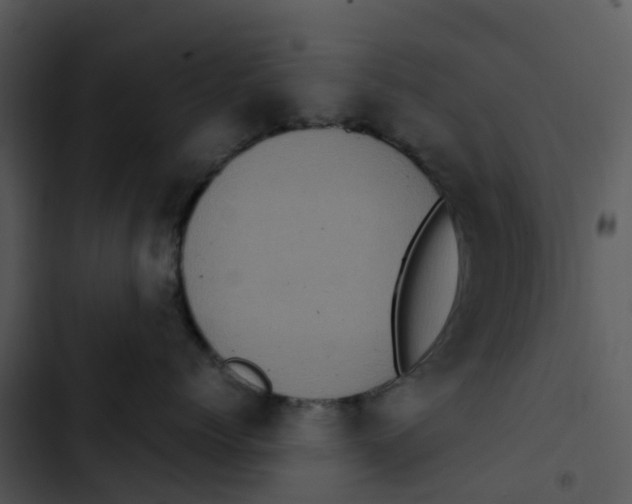 X0000102860768200809081306