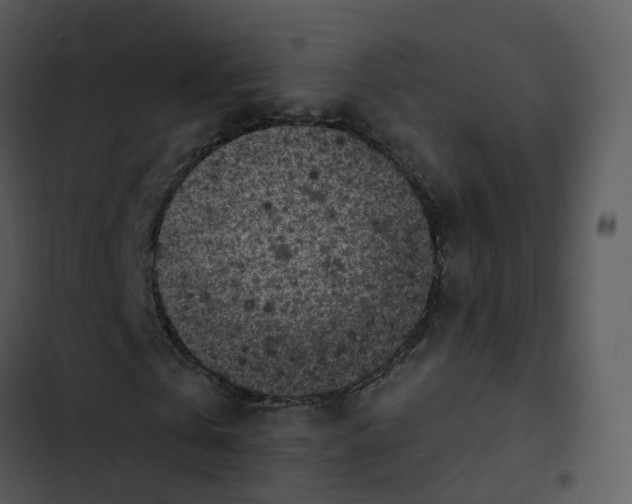 X0000102860769200809081305