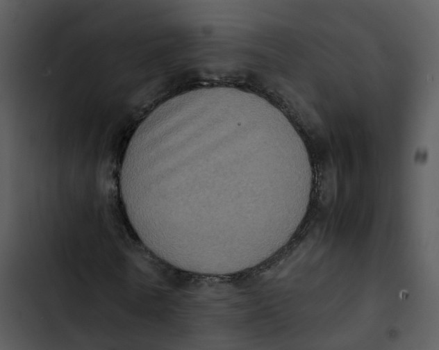 X0000102860770200809081305