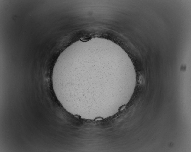 X0000102860771200809081305