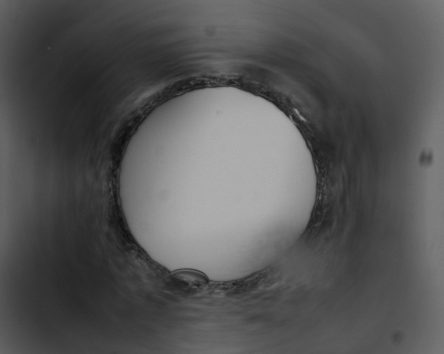 X0000102860773200809081305