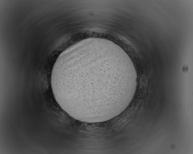 X0000102860774200809081305