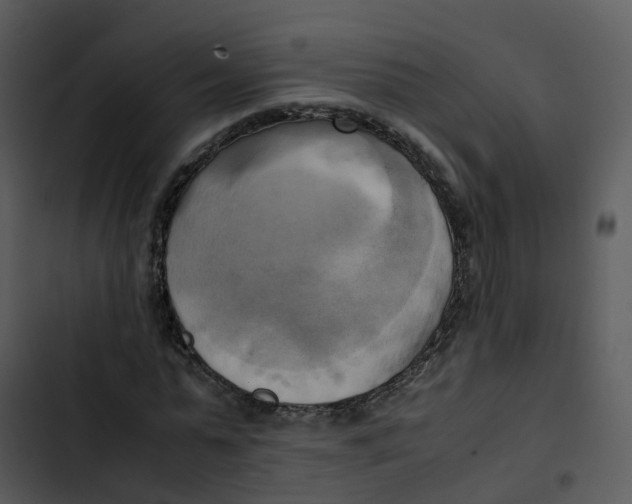 X0000102860775200809081305