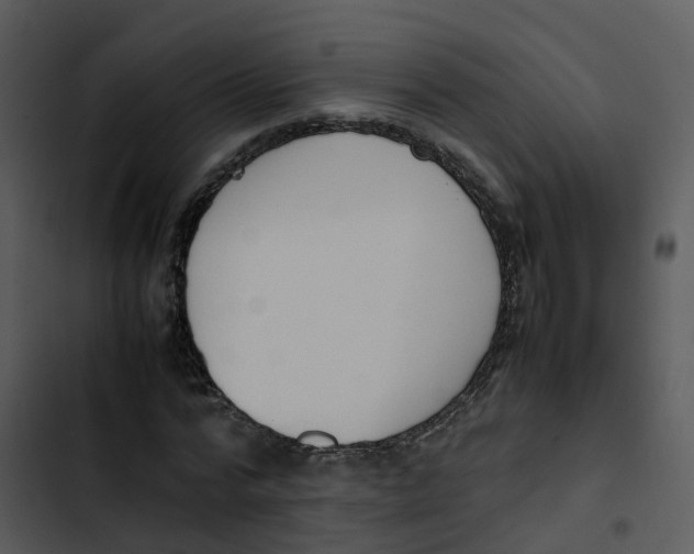 X0000102860776200809081305