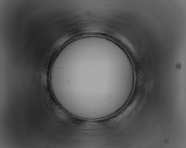 X0000102860777200809081305