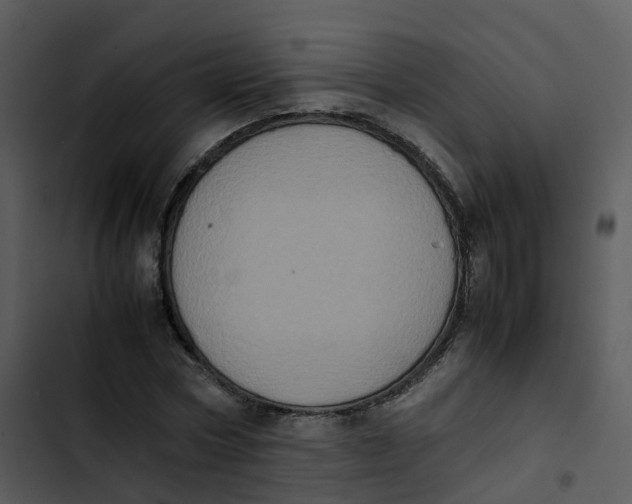 X0000102860778200809081305