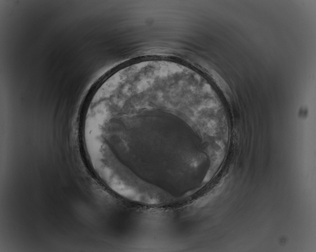 X0000102860779200809081305