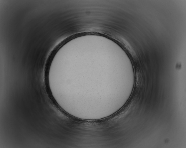 X0000102860780200809081305