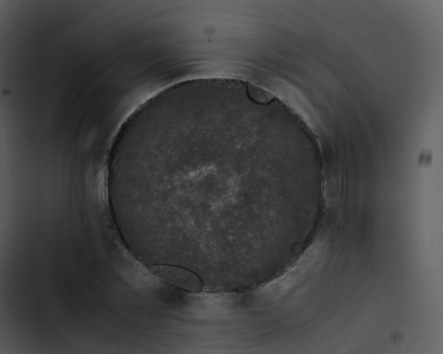 X0000102860781200809081305