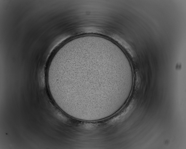 X0000102860782200809081305