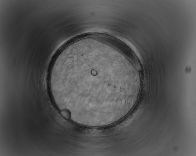 X0000102860783200809081305