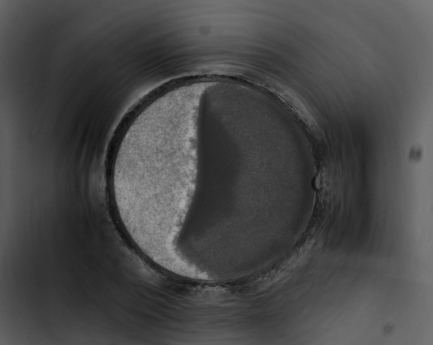 X0000102860784200809081305