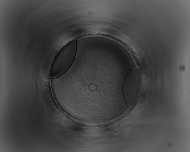 X0000102860785200809081305