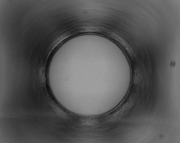 X0000102860786200809081305