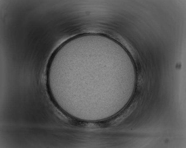 X0000102860787200809081305