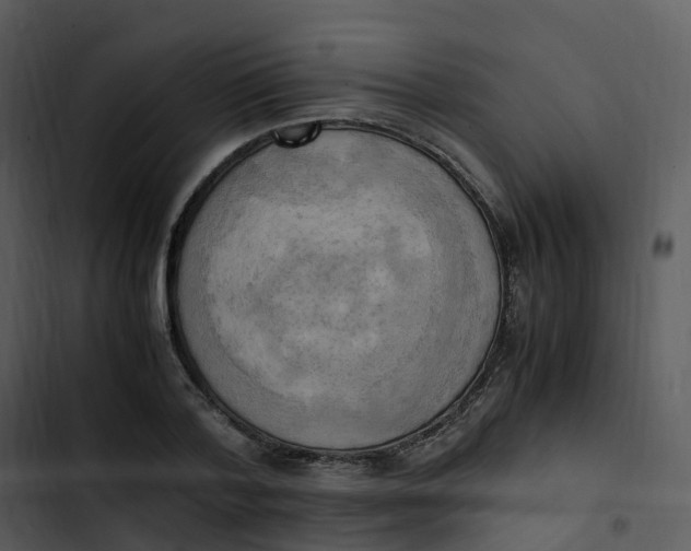 X0000102860788200809081305