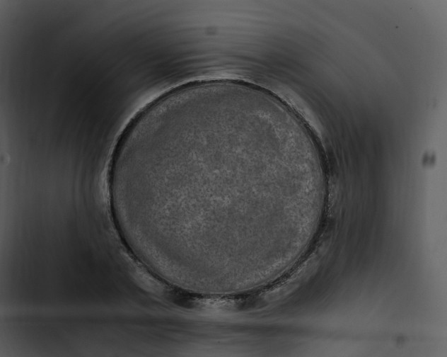 X0000102860789200809081305