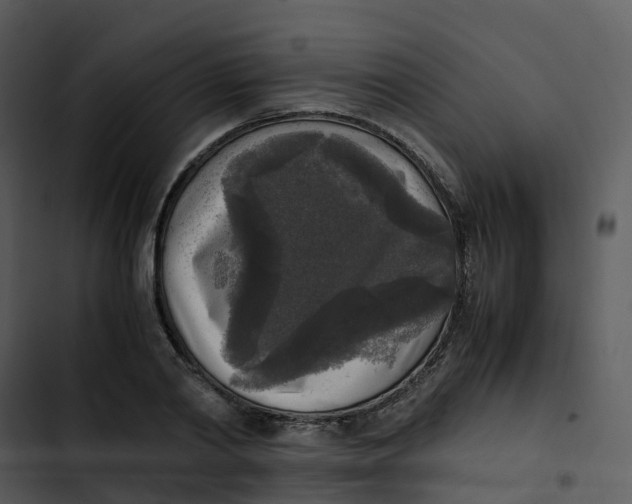 X0000102860790200809081305