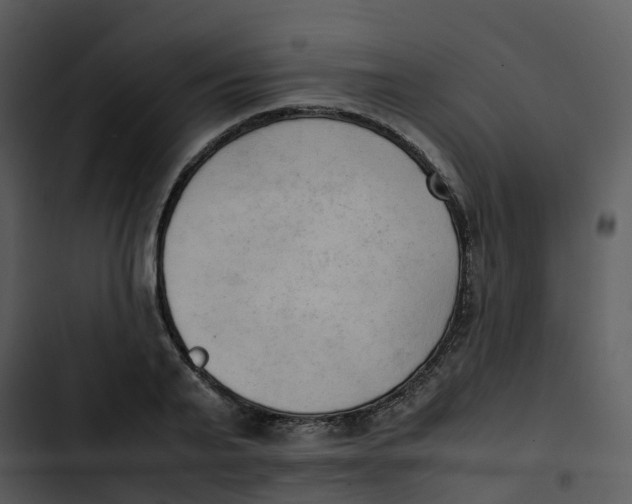 X0000102860791200809081305