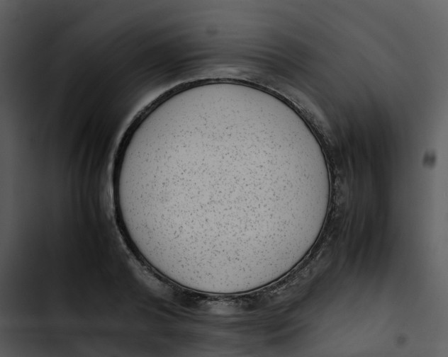 X0000102860792200809081305