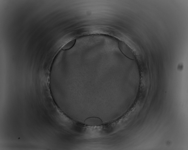 X0000102860793200809081305