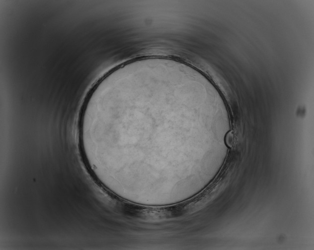 X0000102860795200809081305