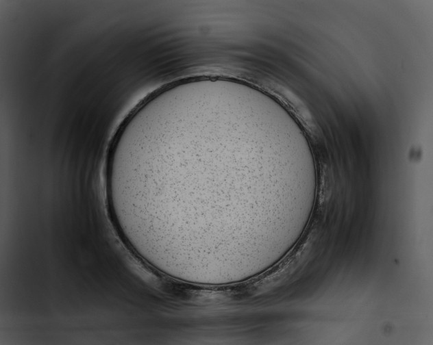 X0000102860796200809081305