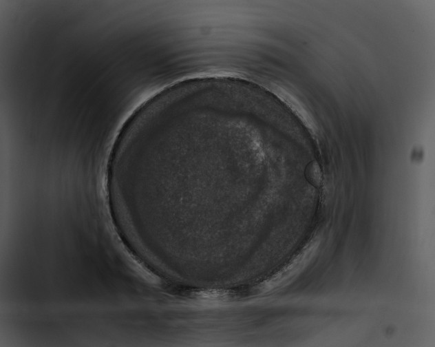 X0000102860797200809081305