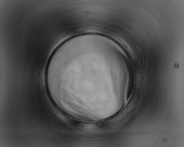 X0000102860798200809081305