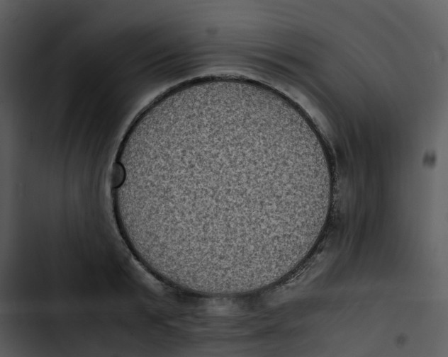 X0000102860799200809081305