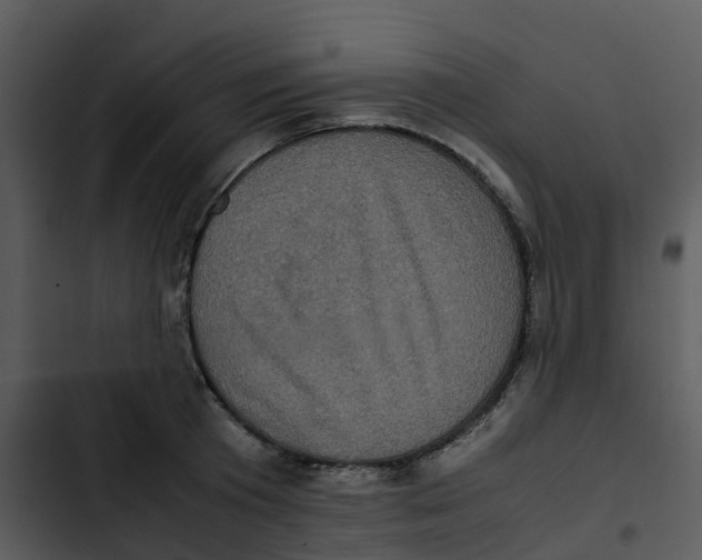 X0000102860801200809081305