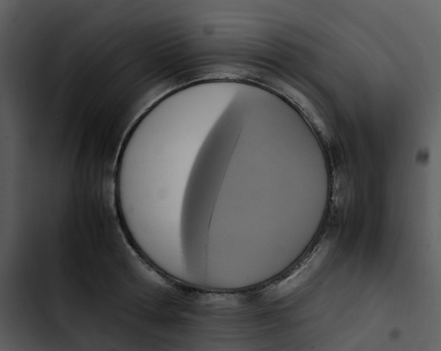 X0000102860802200809081305