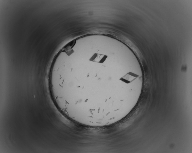 X0000102860803200809081305