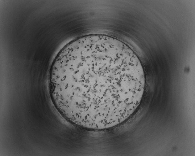 X0000102860804200809081305