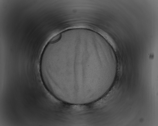 X0000102860805200809081305