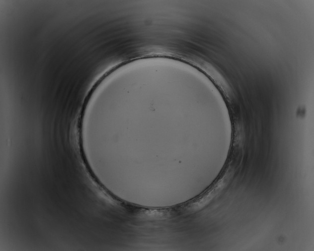 X0000102860806200809081305