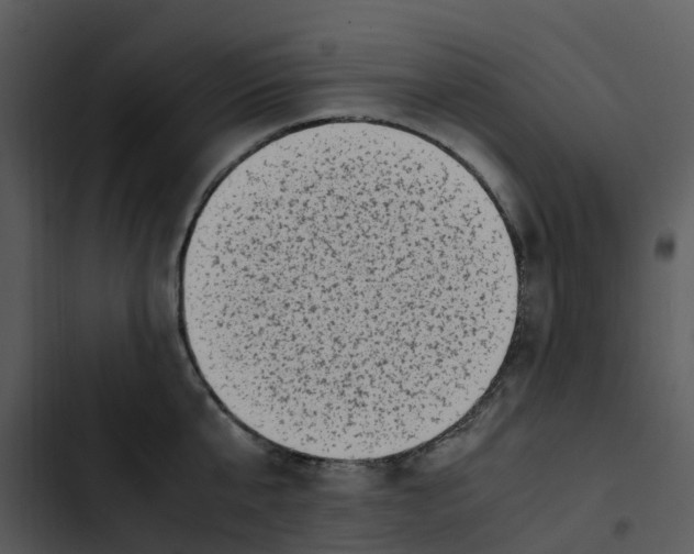 X0000102860807200809081305