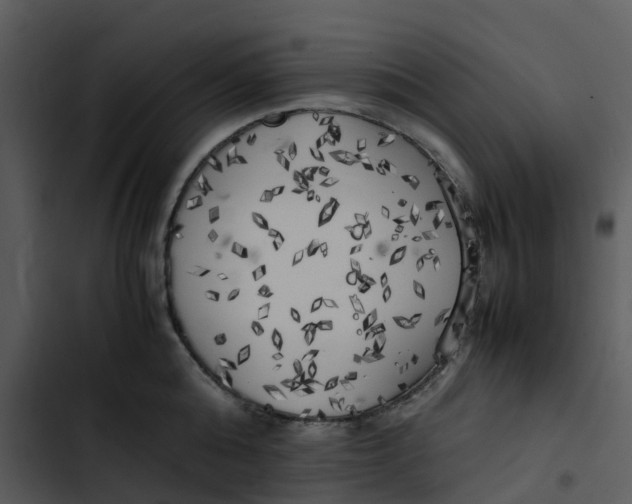 X0000102860808200809081305