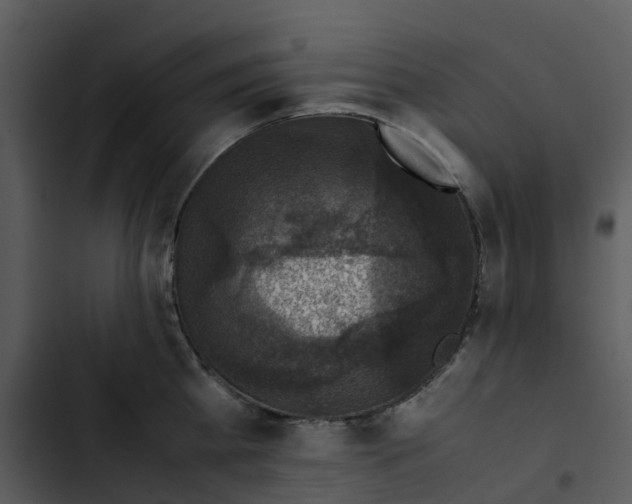 X0000102860809200809081305