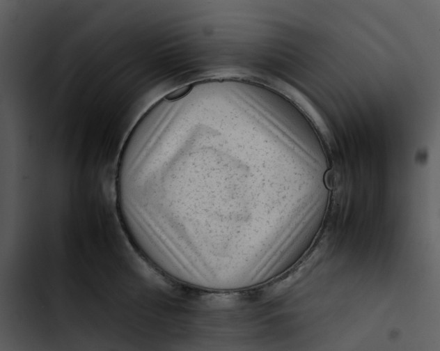 X0000102860810200809081305