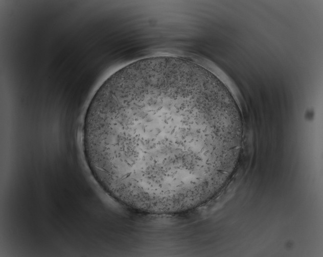 X0000102860811200809081305